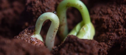 【Seed期】創業～2020年までの沿革