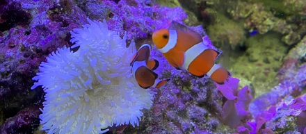 アクアリウム🐠はシステムだ！