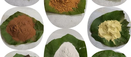 How Ayurvedic medicine is made and works. Ayurvedic Medicare
