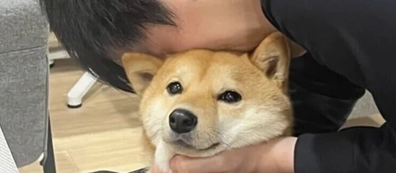 【愛犬と同伴出社できるバイオフィリア】社長のいぬ吸い写真のツイッター投稿でバズる！
