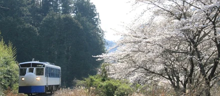 日本最慢新干线站长的有机大米和他妻子的唐饅頭