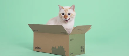 【開発ストーリー】 uniamフレッシュフードができるまで🥣🐈