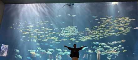 祝・旅行手当で四国を回ってきた