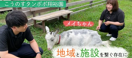 こうのすタンポポ翔裕園ヤギの「メイちゃん」～地域と施設を繋ぐ存在に～