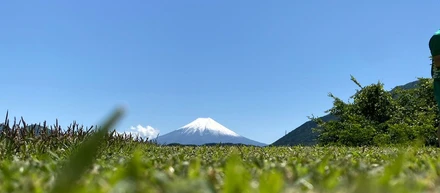 富士山と夏の日。結果最高の一日になった社内ゴルフ⛳