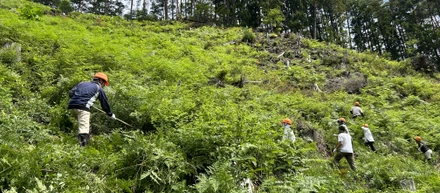 なぜSANUは自分たちの手で木を植えるのか