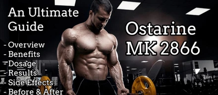 Ostarine MK-2866 Sarms: Your Key to Lean Muscle Gains?