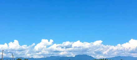 「第5回全国さるなし・こくわサミットin 新潟県(10/14~15)」を後援します