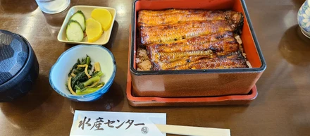 釣りガチ勢のおすすめフィールド紹介！｜DF社員ブログ