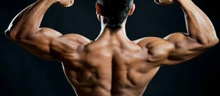 Oral Steroids: A User's Guide and Review of Their Benefits and Risks?