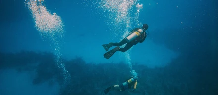 透明度の高い海の中ではまるで空を飛んでいるような「高さ」を感じる