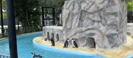 《休日リフレッシュ！》10年ぶりの上野動物園！