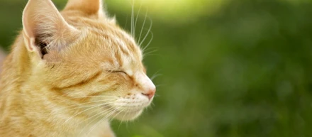 初めまして！採用担当の田中です😸✨