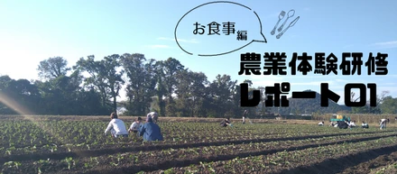 【イベント紹介vol.2】農業体験研修レポート！～お食事編～