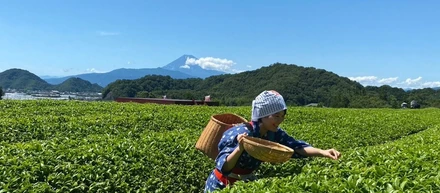 【#地方創生 #観光HR事業】ダイブの現役人事に本音限定インタビュー！（7,000文字あります......）