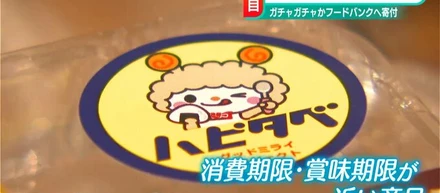【2023/6/1】BSN新潟放送さまに活動を取り上げていただきました📺