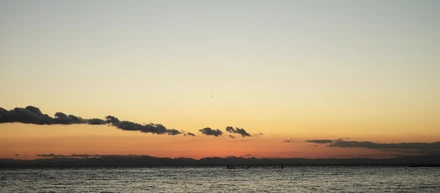 本当はどうしたいの？