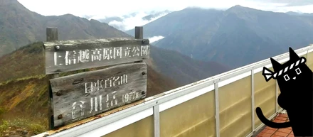 【社員blog】好きな場所で働く。ワーケーション体験記