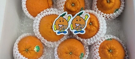 おいしい贈りものを頂きました。