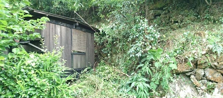 里山暮らしはラクじゃないけど楽しい！！