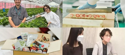 ロスゼロに集まる食品ロス予備軍ってどんなものがあるの？食品メーカーと推進するSDGs