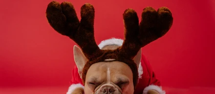 Merry Christmas🎅🎄