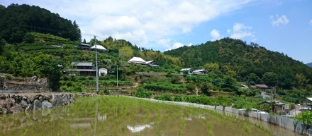 お試し神山塾、大好評でした！