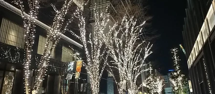 冬の風物詩・丸の内イルミネーション