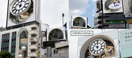 「JAA広告賞」にて入賞📣