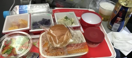 E3旅日記 〜機内にて〜