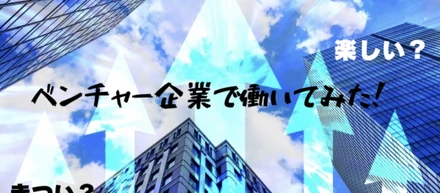 ベンチャー企業で働いてみた！
