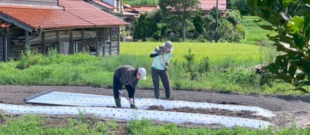 海士町役場地産地商課　佐藤はるなさんからの一報！