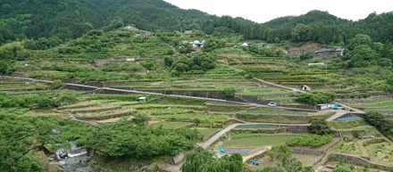 第２弾お試し神山塾、さらに大好評！