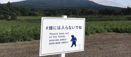 知床トコさんが単なるキャラクターを超えた瞬間のお話