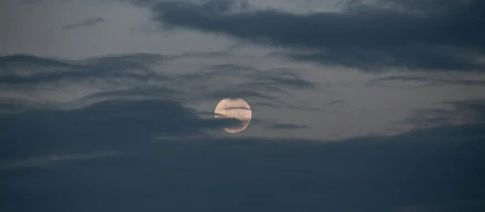 現地調査時の苦悩（〇〇現場）