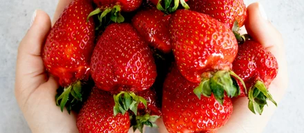 【周辺地域情報】Pig Berry (宇都宮市)