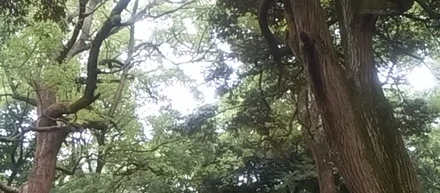 「文章を書く」ことが私を救ってくれました