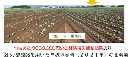 アクプランタ、農水省SBIRフェーズ3基金に採択