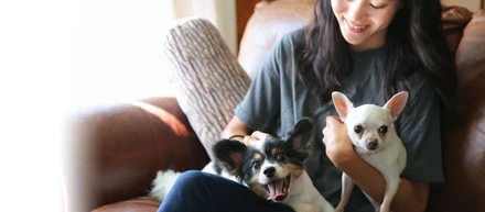愛犬家のみなさん、「ドッグホスト」として活動してみませんか？