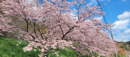 やりがいを感じられるお仕事です（本当に）