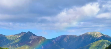 【お知らせ】鷹ノ巣山 ハイキングに行ってきました！