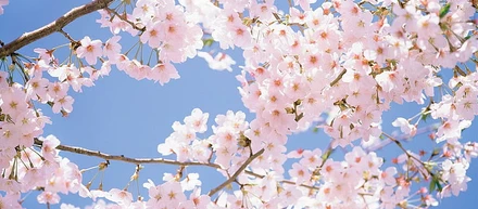 【自己紹介】3月から入社しました、津田です！