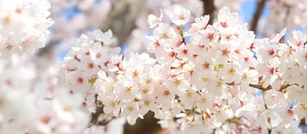 ≪column（コラム）≫ インターンDiary④ ”3月を振り返ってみて”