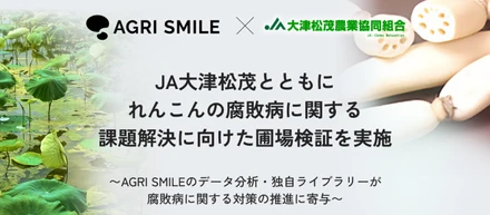 AGRI SMILEとJA大津松茂、れんこんの腐敗病に関する課題解決に向けた圃場検証を実施