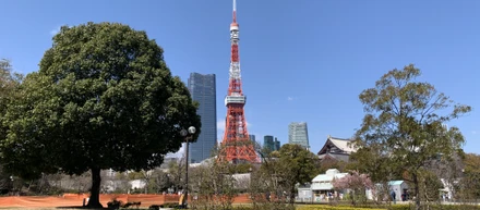 【オフィス紹介】東京タワーのすぐ近く。オフィス街でも緑の多い芝公園