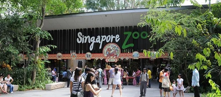 Tempat Wisata TerbaikDi Singapura
