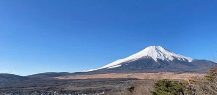 役員合宿を開催しました