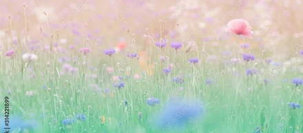出会いの春！新しい仲間の紹介！