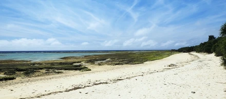 自然豊かな場所でリモートワーク、海外を旅しながら働く
