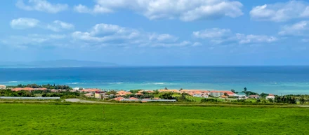 【新オフィスオープン🎉】沖縄県石垣島にサテライトオフィスを新規オープンしました！